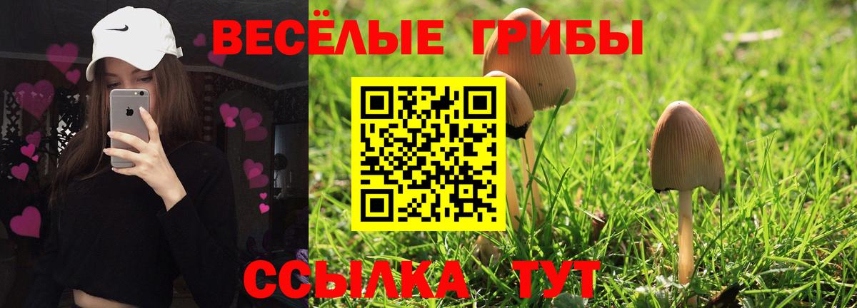 Псилоцибиновые грибы GOLDEN TEACHER Каменка