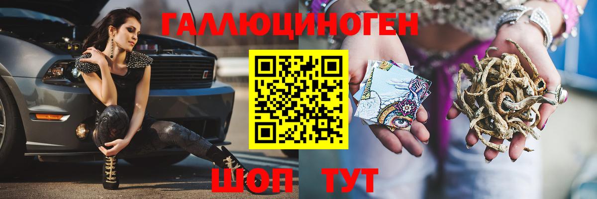 Галлюциногенные грибы Psilocybe  наркота  Каменка  Вход с VPN 